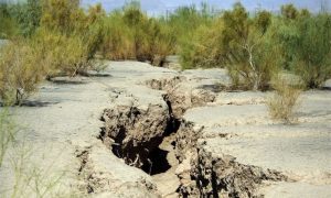 دشت های استان