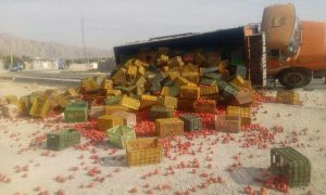 کامیون حمل گوجه