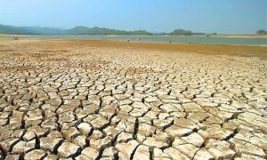 خشکسالی