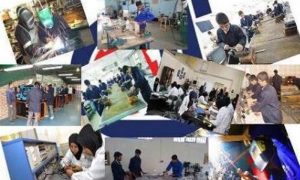 بوشهر| ۱۴۰ میلیارد ریال تسهیلات اشتغال‌زایی روستایی و فراگیر در دشتی پرداخت شد – اخبار تسنیم