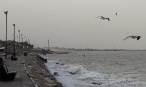 ۸۱۲۸۶۶۸_۷۷۵