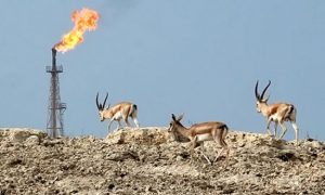 ۱۴۰۱۰۴۲۳۰۰۰۲۲۹_Test_PhotoN