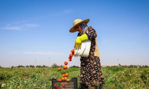 ۱۴۰۱۰۴۲۵۰۰۰۳۸۰_Test_PhotoN