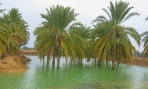 ۱۴۰۰۰۸۱۵۰۰۰۸۷۱_Test_PhotoN