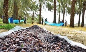 ۱۴۰۰۰۹۱۰۰۰۰۰۴۶_Test_PhotoN