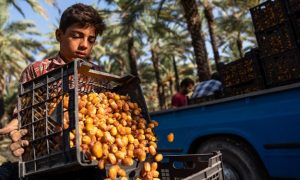 ۱۴۰۰۰۷۱۰۰۰۰۰۳۰۶۳۷۶۸۷۳۴۵۲۷۷۶۴۱۲۲۳_۴۶۱۱۱_PhotoN