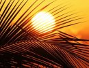 ۱۳۹۸۰۶۳۱۰۰۰۷۱۳_Test_PhotoN