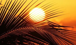 ۱۳۹۸۰۶۳۱۰۰۰۷۱۳_Test_PhotoN